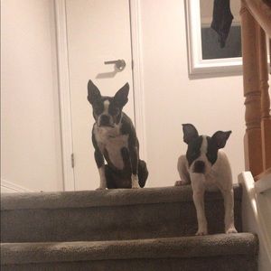 Meet your Posher, Katy